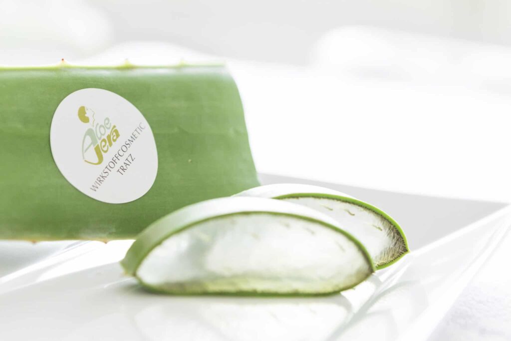Nahaufnahme eines geschnittenen Aloe-Vera-Blattes mit der Aufschrift „Spezialbehandlung Gesicht“ auf einer weißen Oberfläche. Im Mittelpunkt steht das durchscheinende Gel in den Aloe-Scheiben, das durch den unscharfen Hintergrund noch besser zur Geltung kommt.